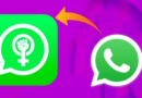Cómo activar el modo Día de la Mujer en WhatsApp