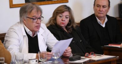 MOISÉS RESPALDA EN SENADO LA EMERGENCIA PEDIÁTRICA POR EL GARRAHAN