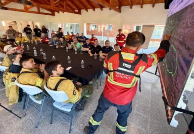 Operativo reforzado: cerca de 650 personas y 8 medios aéreos combaten el incendio forestal en Puerto Patriada
