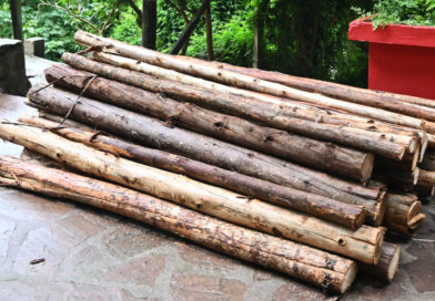 Continúa la campaña “Un Plástico por un Ecoposte”