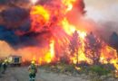DECLARAN EMERGENCIA ÍGNEA POR UN AÑO EN CHUBUT, RÍO NEGRO, NEUQUÉN Y LA PAMPA
