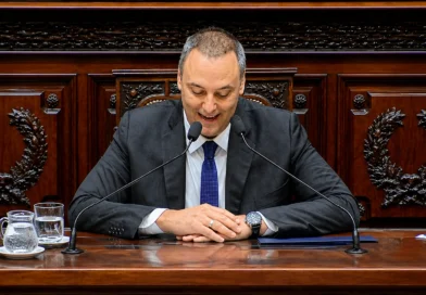 ADORNI BAJO FUEGO EN EL CONGRESO: SILENCIO PATRIMONIAL Y DEFENSA DE GESTIÓN EN UNA JUGADA DE ALTO RIESGO PARA MILEI