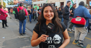 203 DÍAS SIN CUMPLIR LA LEY DE FINANCIAMIENTO UNIVERSITARIO: GRAN MARCHA NACIONAL EN DEFENSA DE LA EDUCACIÓN PÚBLICA