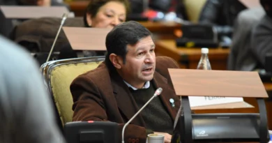 LA LEGISLATURA PIDE A LEGISLADORES NACIONALES POR JUJUY GESTIONAR LA ELIMINACIÓN DEL IVA EN LA BOLETA DE LUZ