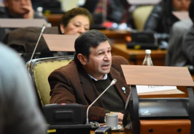 LA LEGISLATURA PIDE A LEGISLADORES NACIONALES POR JUJUY GESTIONAR LA ELIMINACIÓN DEL IVA EN LA BOLETA DE LUZ