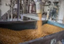 EXPORTACIONES AGROINDUSTRIALES CRECEN EN EL PRIMER CUATRIMESTRE