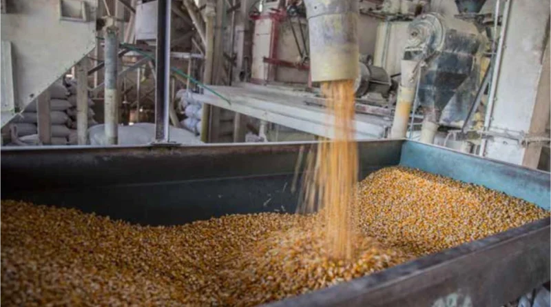 EXPORTACIONES AGROINDUSTRIALES CRECEN EN EL PRIMER CUATRIMESTRE