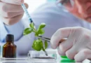 NUEVA NORMATIVA PARA EL PATENTAMIENTO DE DESARROLLOS BIOTECNOLÓGICOS