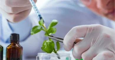 NUEVA NORMATIVA PARA EL PATENTAMIENTO DE DESARROLLOS BIOTECNOLÓGICOS