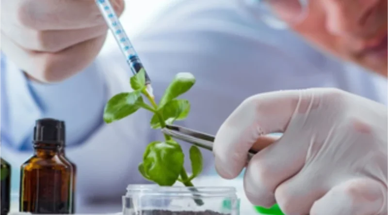 NUEVA NORMATIVA PARA EL PATENTAMIENTO DE DESARROLLOS BIOTECNOLÓGICOS