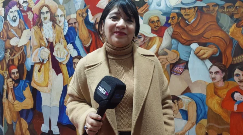 ORGANIZACIONES FEMINISTAS REUNIDAS CON LA COMISIÓN DE GÉNERO DE LA LEGISLATURA EXIGIERON GARANTÍAS EN ACCESO A LA IVE Y PROTECCIÓN ANTE LA VIOLENCIA