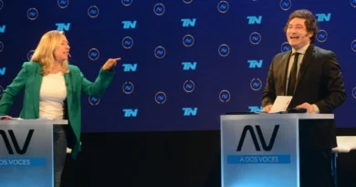 MILEI CULPA A LOS “PAÑUELITOS VERDES” POR LA NATALIDAD Y BREGMAN LE RESPONDE CON DUREZA EN X
