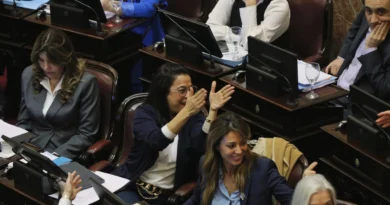 BIOCOMBUSTIBLES: “TRANSFORMAR LA PRODUCCIÓN EN ENERGÍA Y LA ENERGÍA EN VALOR AGREGADO Y MÁS TRABAJO”