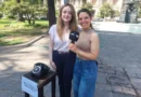 INTERVENCION URBANA BUSCA CONCIENTIZAR SOBRE LA SALUD MENTAL Y PREVENIR EL SUICIDIO INTERVENCION URBANA BUSCA CONCIENTIZAR SOBRE LA SALUD MENTAL Y PREVENIR EL SUICIDIO