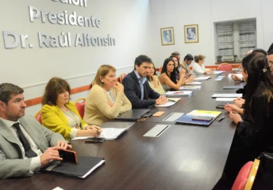La Legislatura inició el tratamiento de la reforma de la Ley de Procedimiento Administrativo